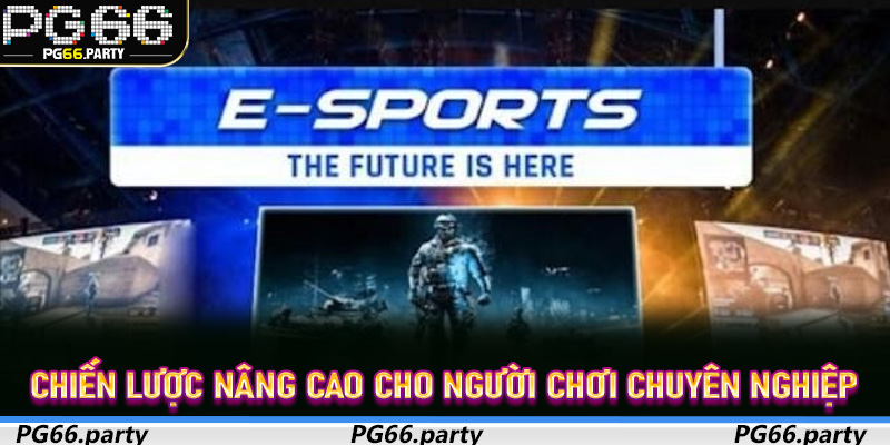 Chiến lược nâng cao cho người chơi chuyên nghiệp